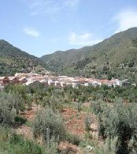 Las mejores ofertas de El Collado Olula Del Río 